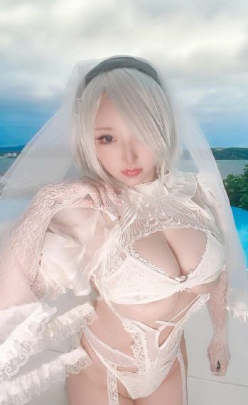 花落时节又逢君